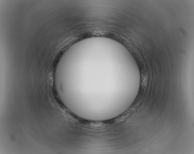 X0000112160666200908070940