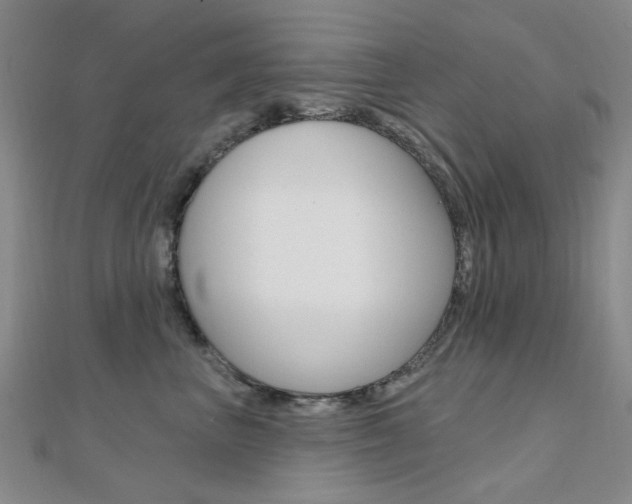 X0000112160667200908070940