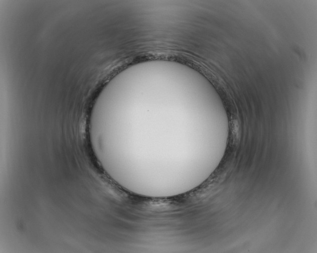 X0000112160668200908070940