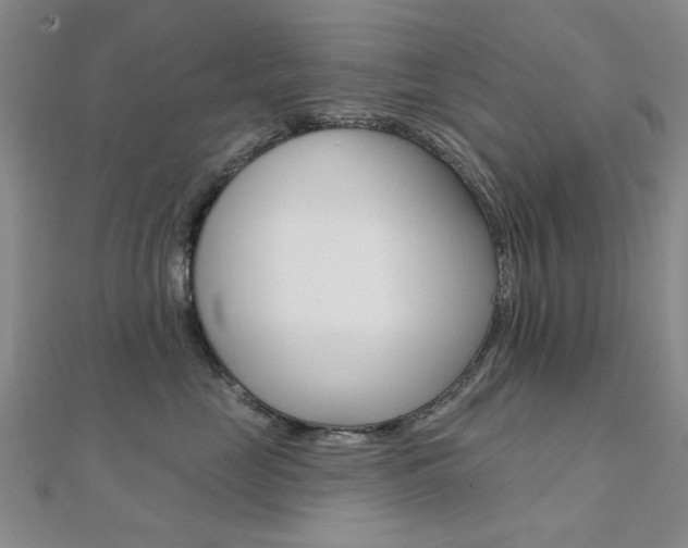 X0000112160669200908070940