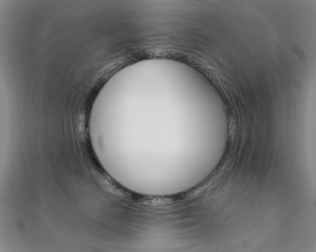 X0000112160670200908070940