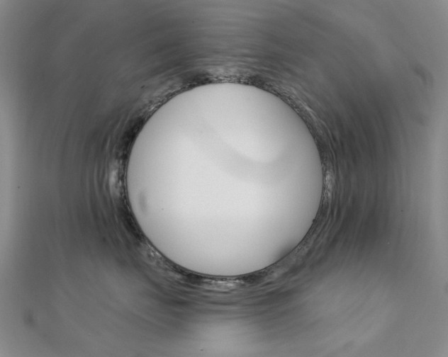 X0000112160671200908070940