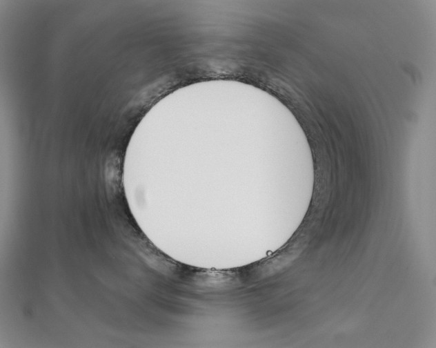 X0000112160672200908070940