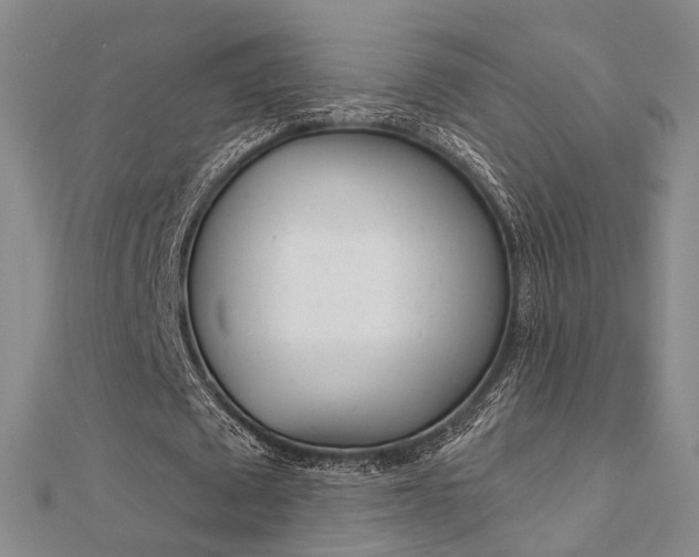 X0000112160673200908070939