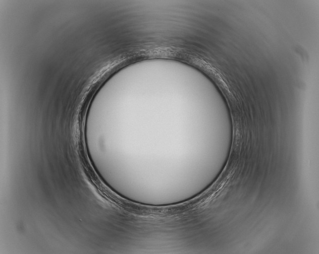 X0000112160674200908070939
