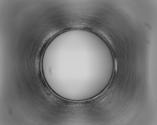 X0000112160675200908070939