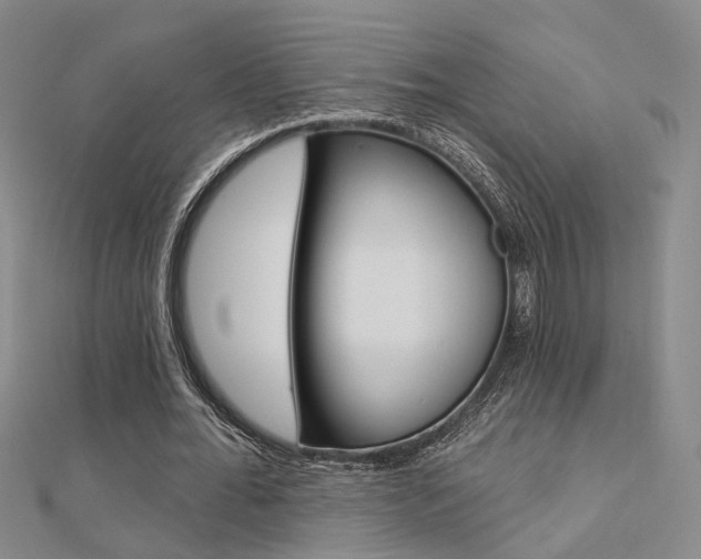 X0000112160676200908070939
