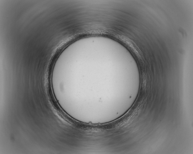 X0000112160677200908070939