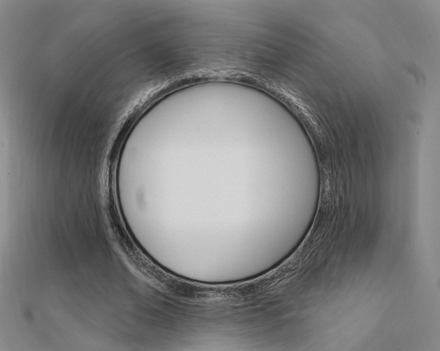 X0000112160678200908070939