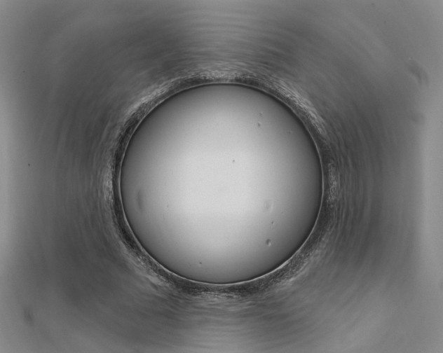 X0000112160681200908070939