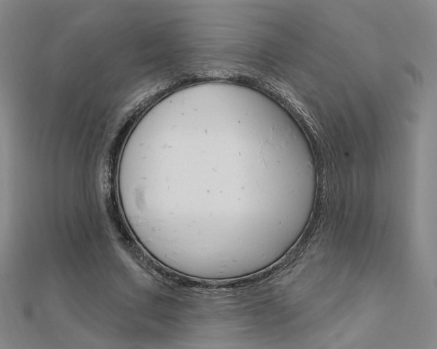 X0000112160683200908070939