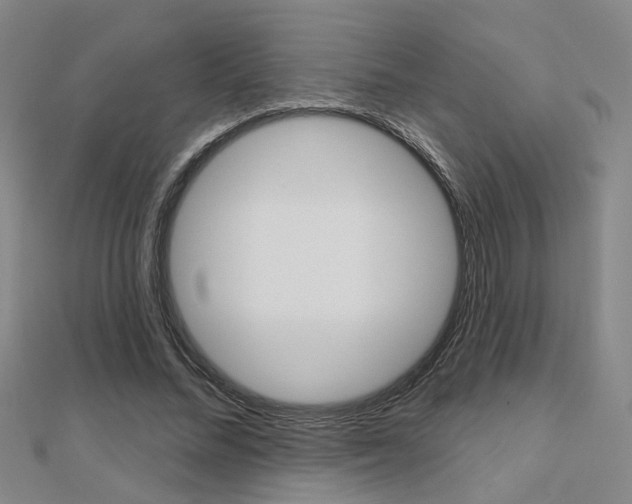 X0000112160684200908070939