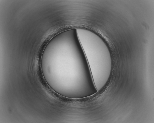 X0000112160685200908070939