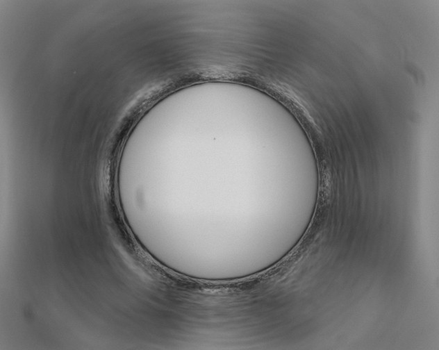 X0000112160686200908070939