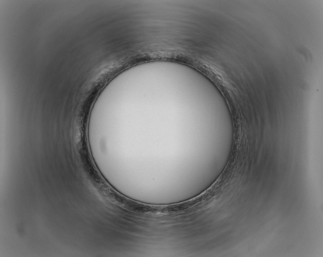 X0000112160687200908070939