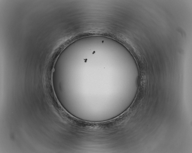 X0000112160688200908070939