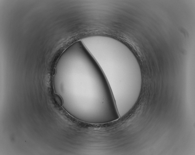 X0000112160689200908070939