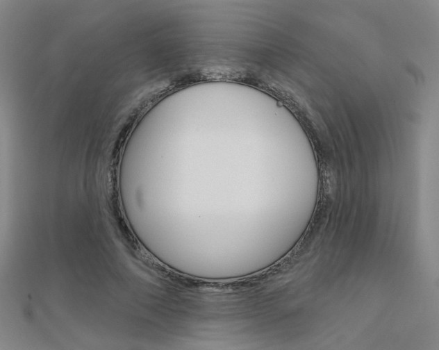 X0000112160690200908070939