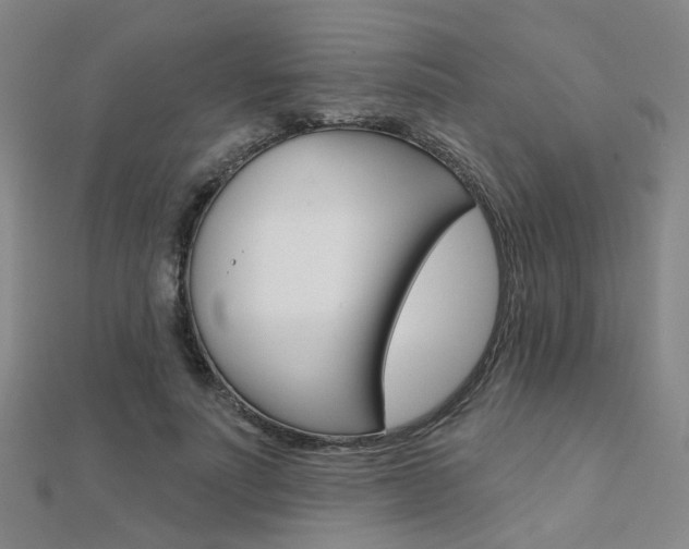 X0000112160691200908070939