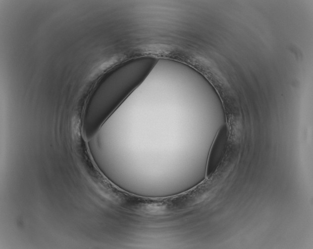 X0000112160692200908070939