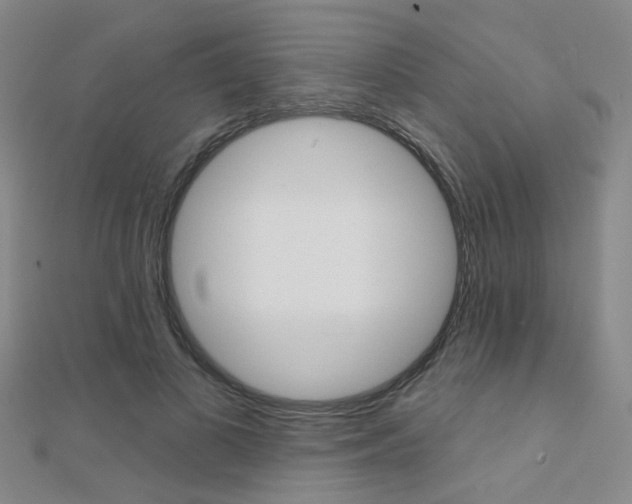 X0000112160693200908070939