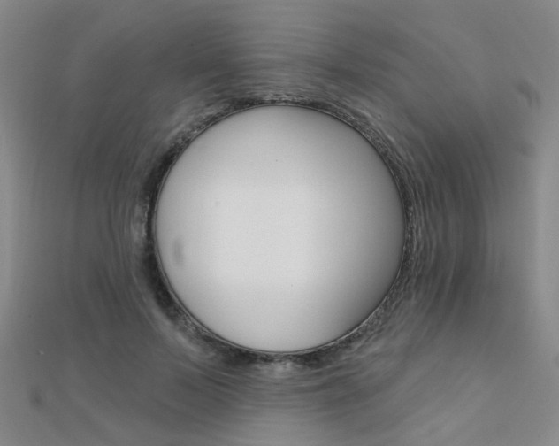 X0000112160695200908070939