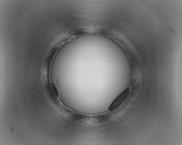 X0000112160696200908070939