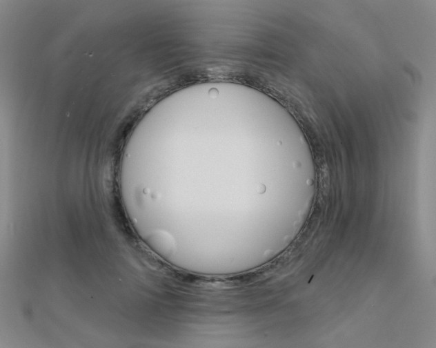 X0000112160698200908070939