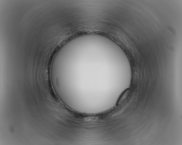 X0000112160700200908070939