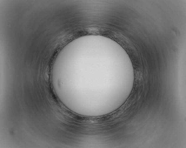 X0000112160702200908070939