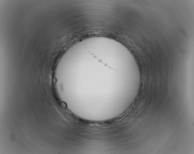 X0000112160703200908070939