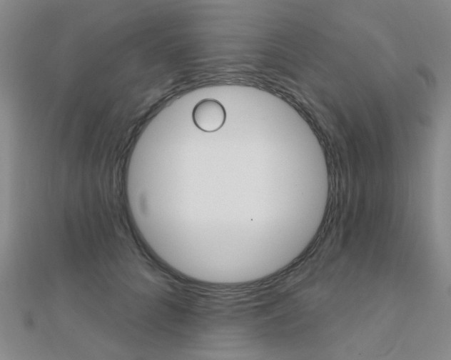 X0000112160704200908070939