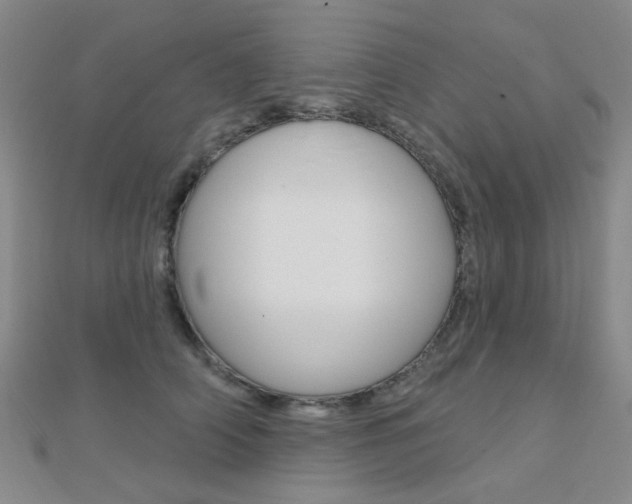 X0000112160706200908070939