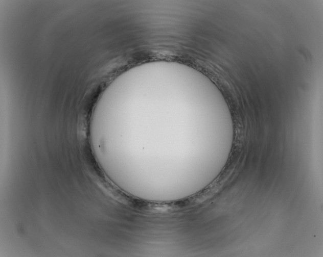 X0000112160710200908070938