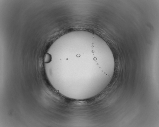 X0000112160711200908070938