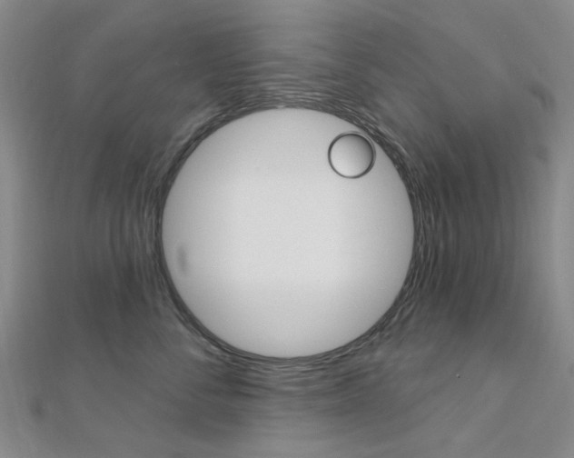 X0000112160716200908070938