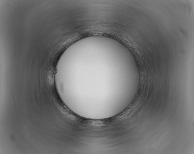 X0000112160719200908070938