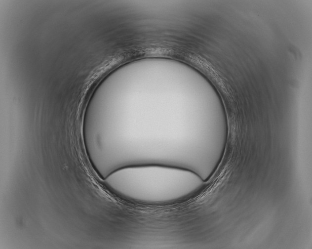 X0000112160721200908070938