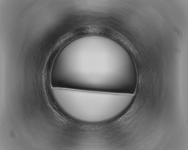 X0000112160722200908070938
