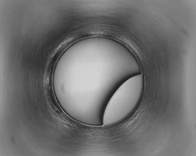 X0000112160723200908070938