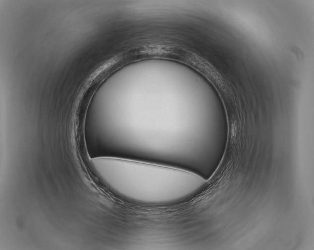X0000112160724200908070938
