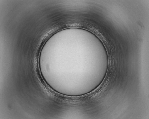 X0000112160725200908070938