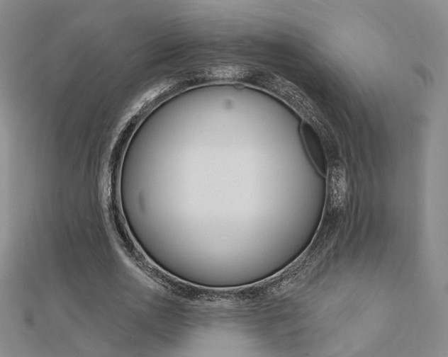 X0000112160726200908070938