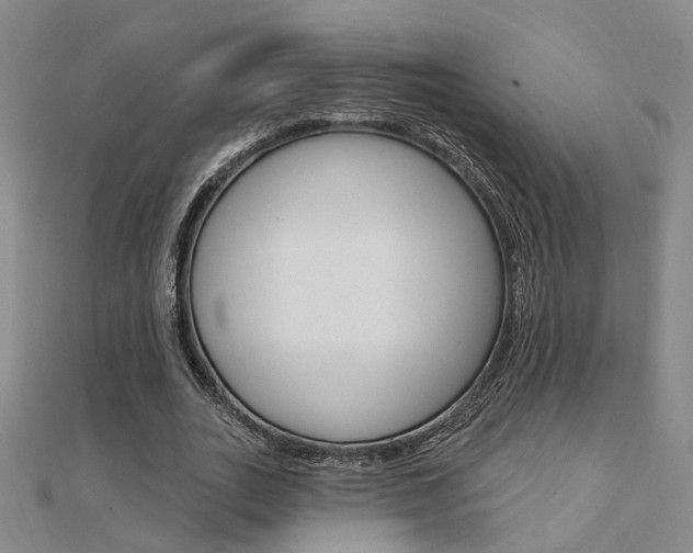 X0000112160727200908070938