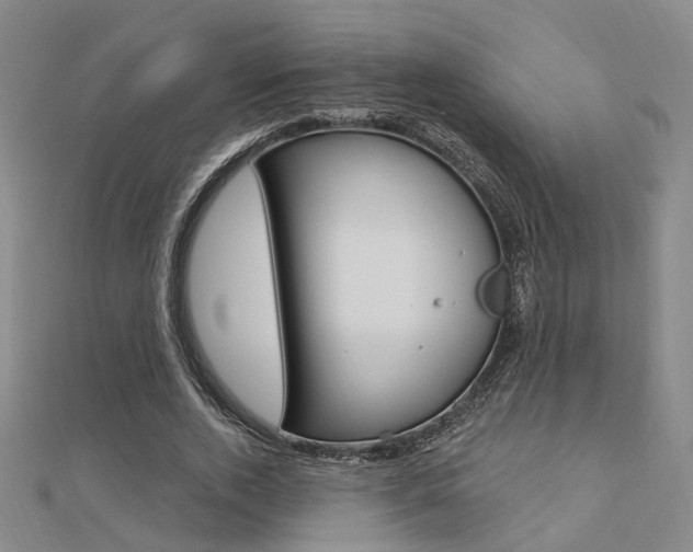 X0000112160728200908070938
