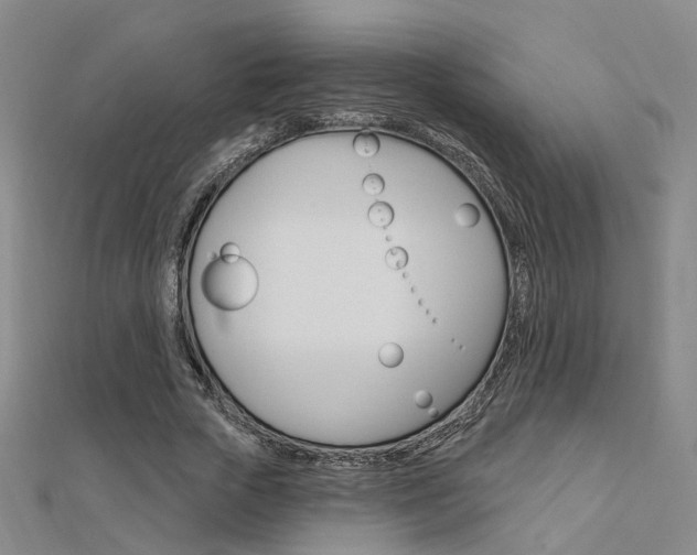 X0000112160729200908070938