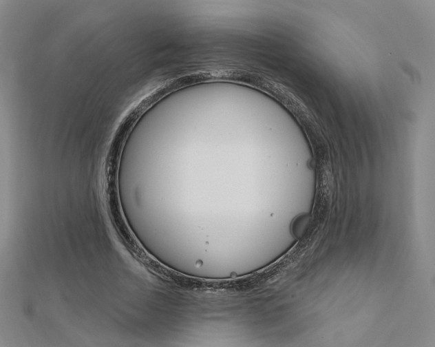X0000112160730200908070938