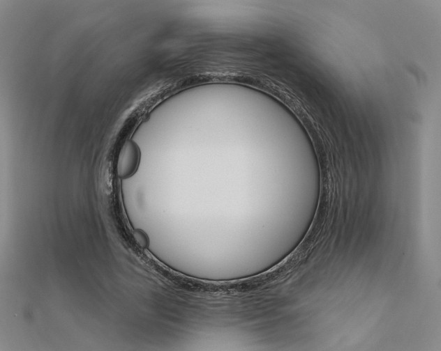 X0000112160731200908070938