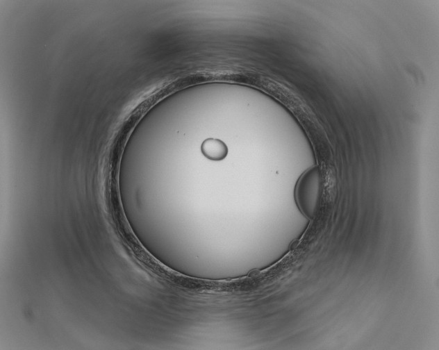 X0000112160732200908070938