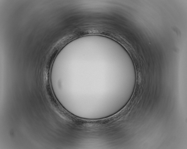 X0000112160733200908070938